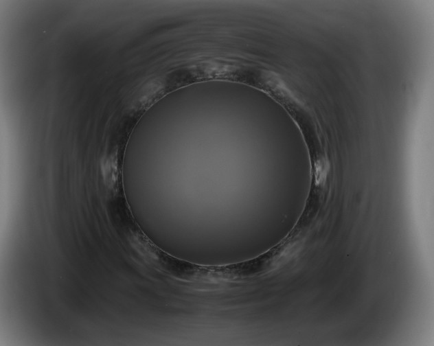 X0000086011011200703301005