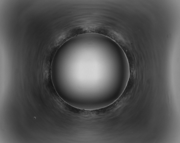 X0000086011012200703301005
