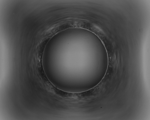X0000086011013200703301005
