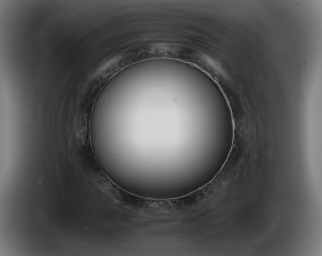 X0000086011015200703301005