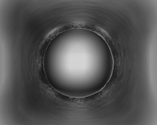 X0000086011016200703301005