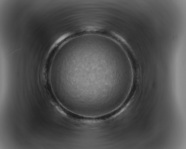 X0000086011018200703301005
