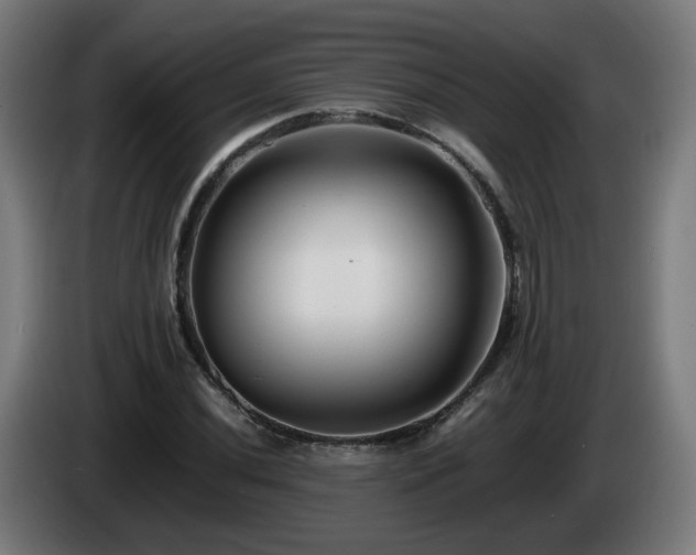 X0000086011020200703301005