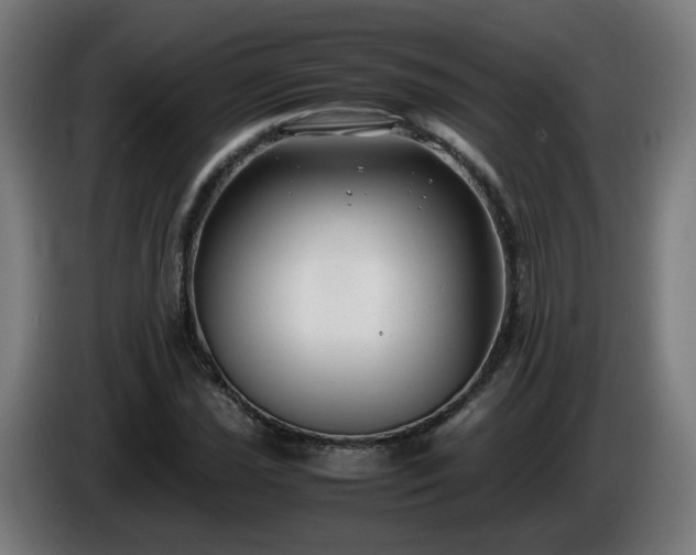 X0000086011021200703301005