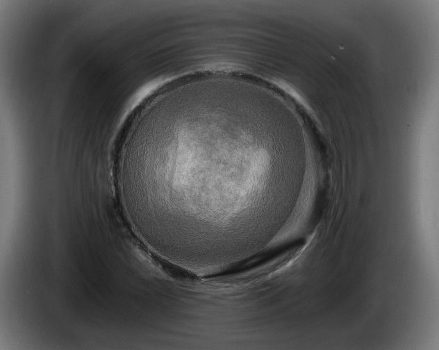 X0000086011022200703301005
