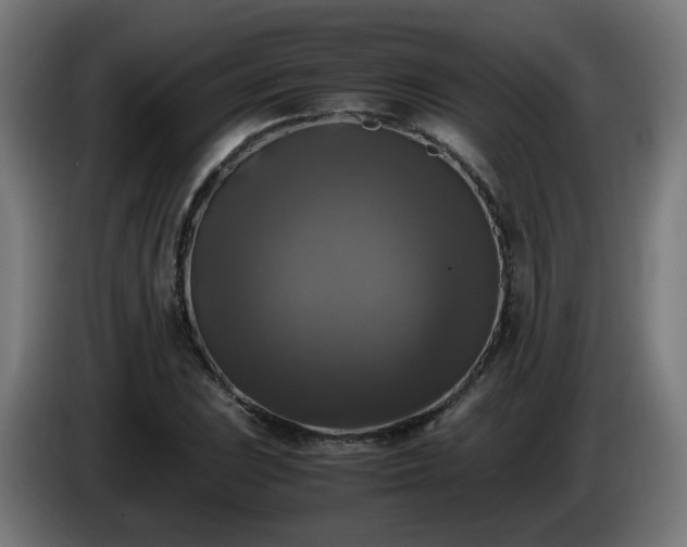X0000086011023200703301005