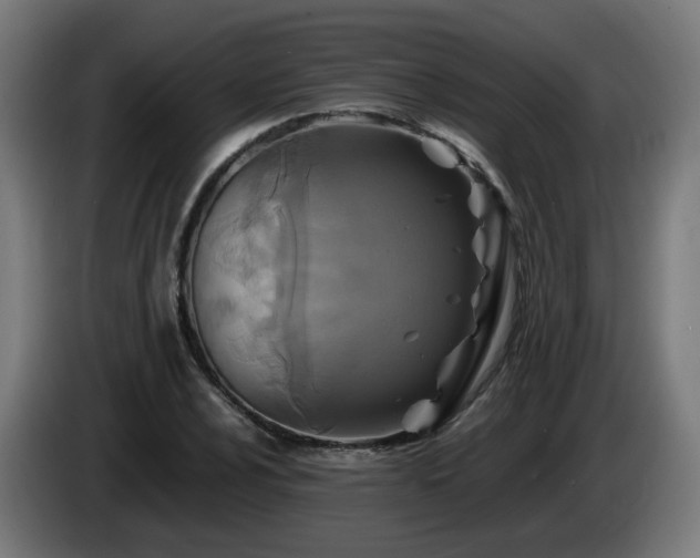 X0000086011024200703301005