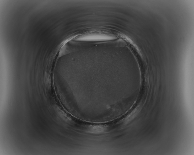 X0000086011025200703301005