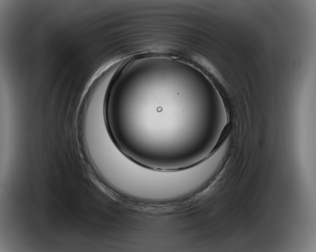 X0000086011026200703301006
