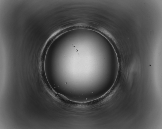 X0000086011029200703301006