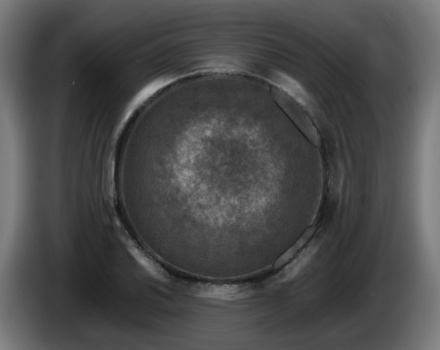 X0000086011030200703301006