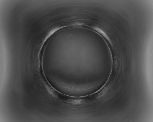 X0000086011031200703301006