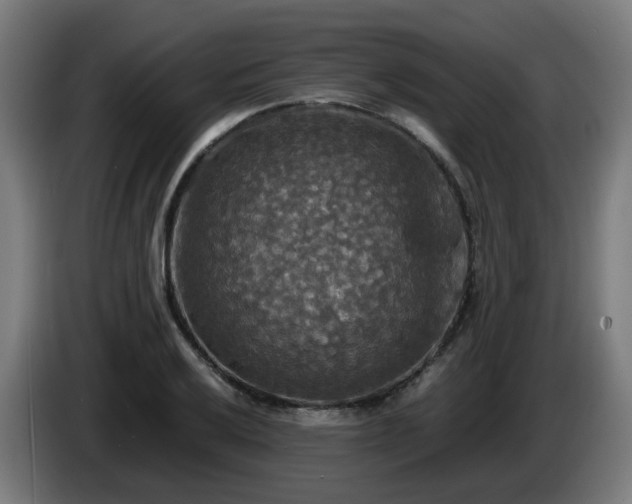X0000086011032200703301006