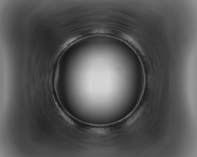X0000086011033200703301006