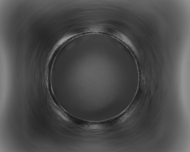 X0000086011035200703301006
