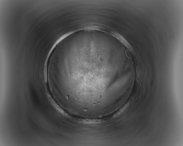 X0000086011036200703301006