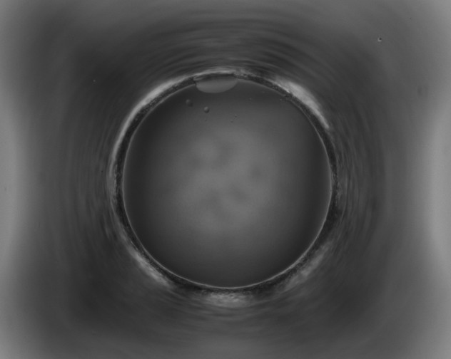 X0000086011037200703301006