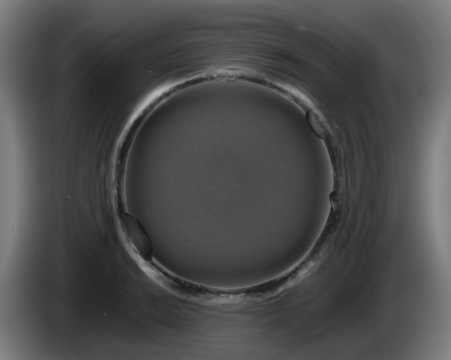 X0000086011038200703301006