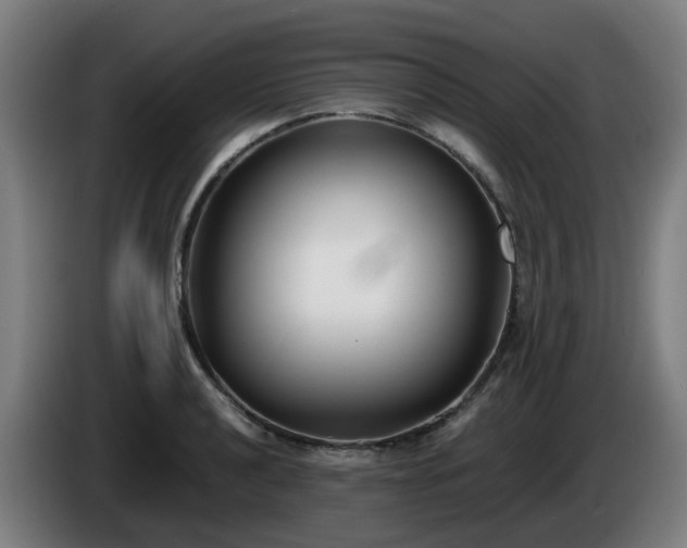 X0000086011040200703301006