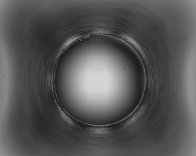 X0000086011041200703301006