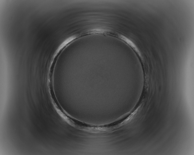 X0000086011042200703301006
