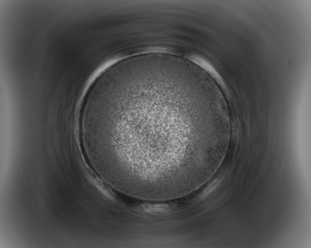 X0000086011043200703301006