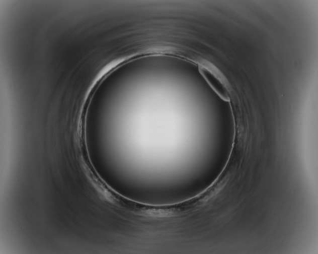 X0000086011044200703301006