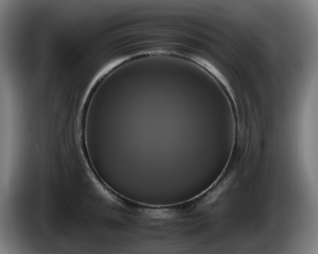 X0000086011045200703301006