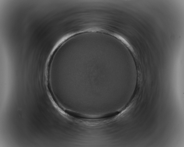 X0000086011046200703301006