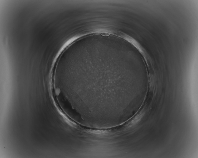 X0000086011048200703301006