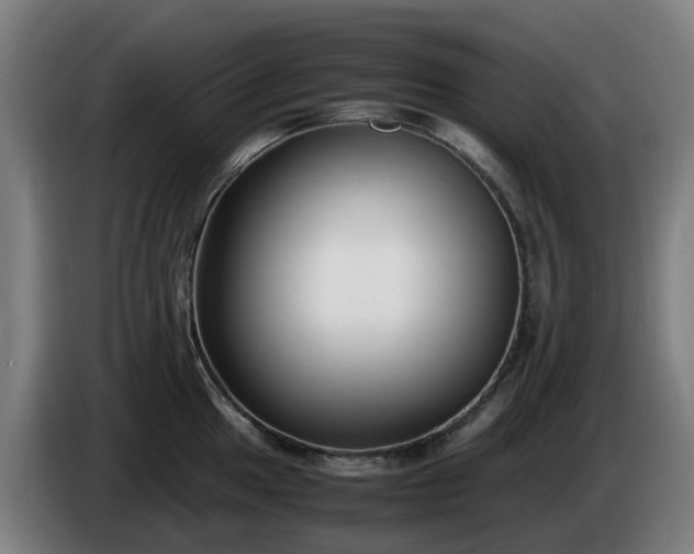 X0000086011049200703301006