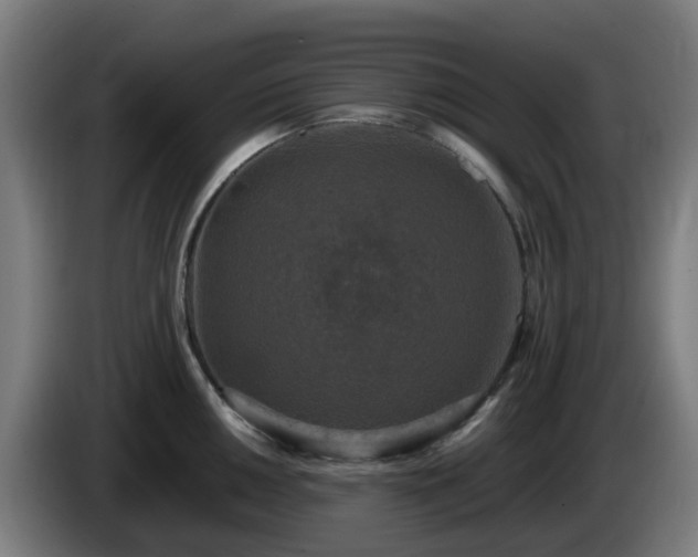 X0000086011050200703301006