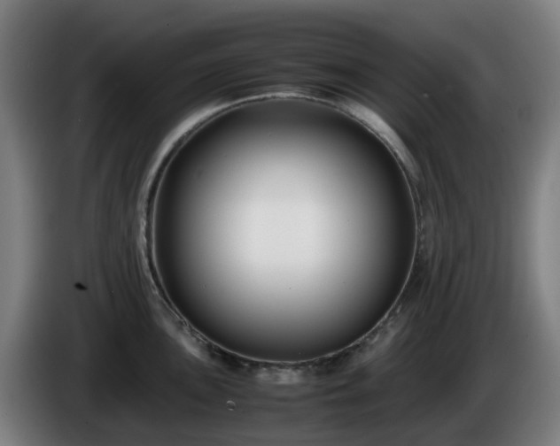 X0000086011051200703301006