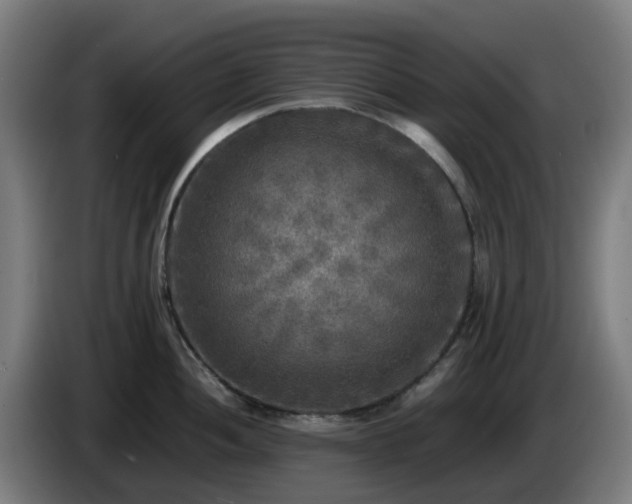 X0000086011052200703301006