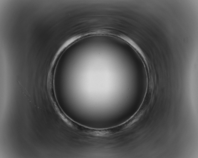 X0000086011053200703301006