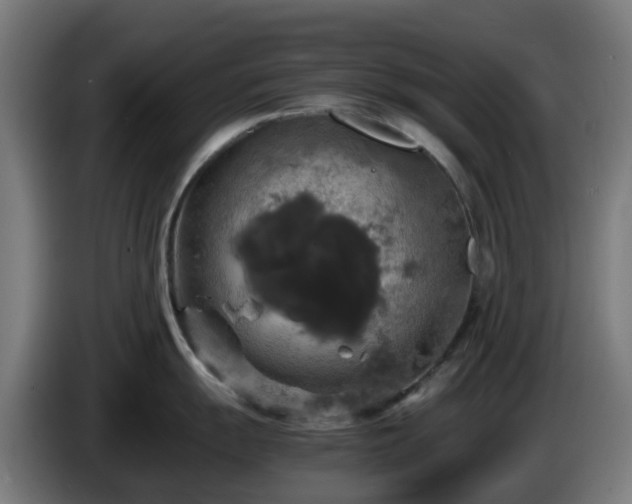 X0000086011055200703301006