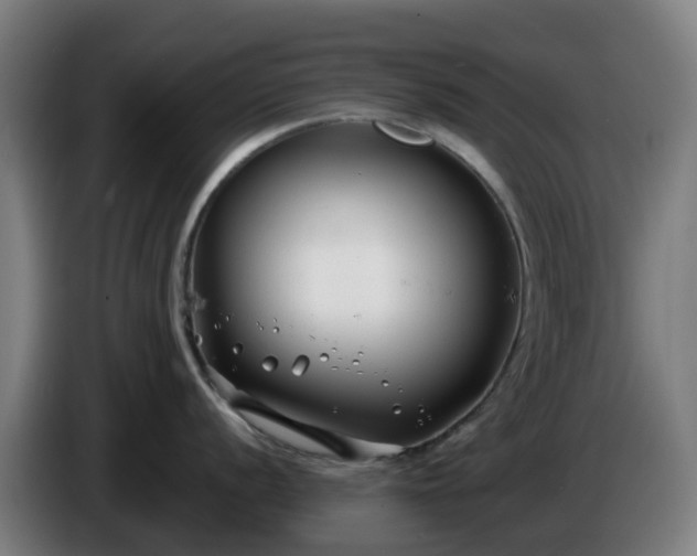 X0000086011056200703301006