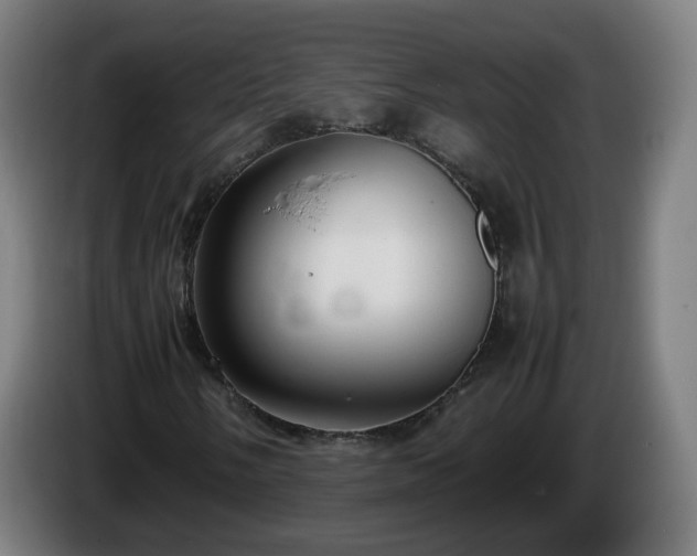 X0000086011058200703301005