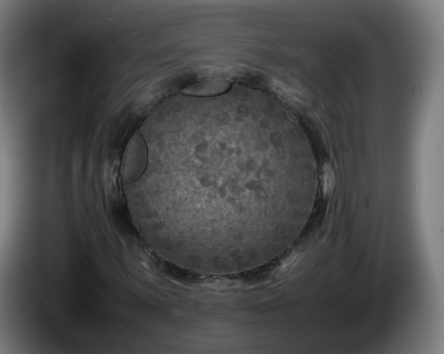 X0000086011059200703301005
