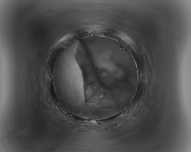 X0000086011063200703301005