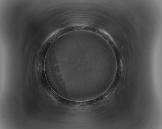 X0000086011064200703301005