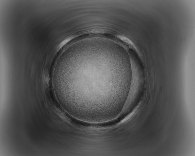 X0000086011065200703301005