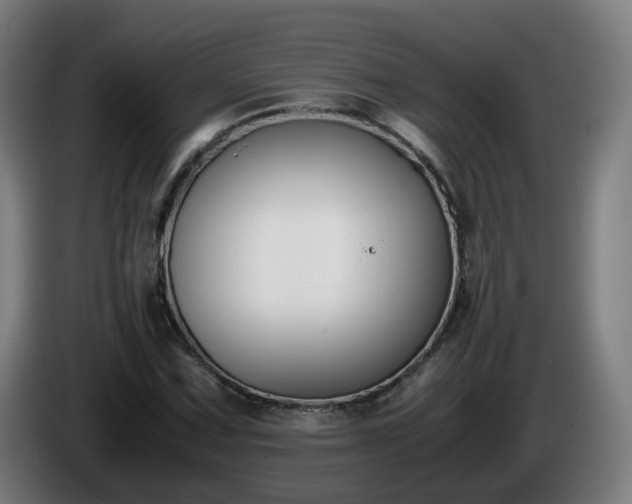 X0000086011067200703301005