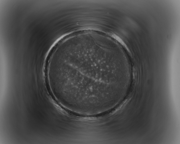 X0000086011068200703301005