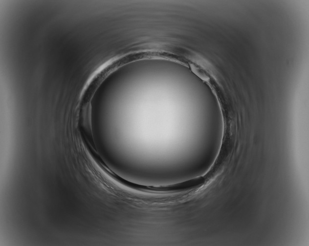 X0000086011069200703301005