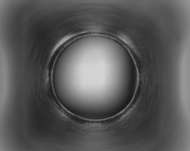 X0000086011070200703301005