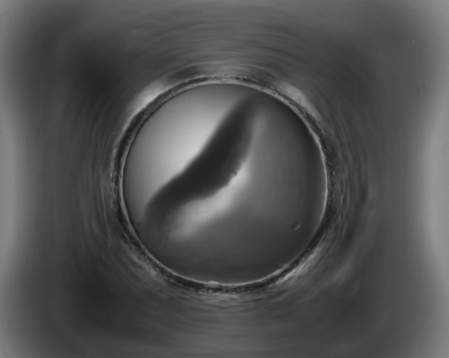 X0000086011071200703301005
