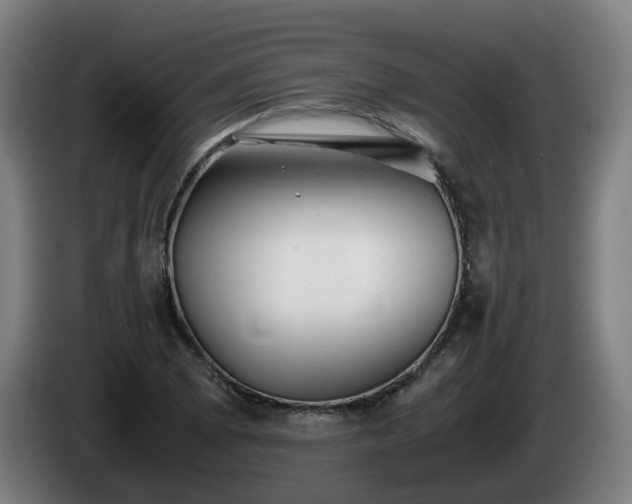 X0000086011073200703301005
