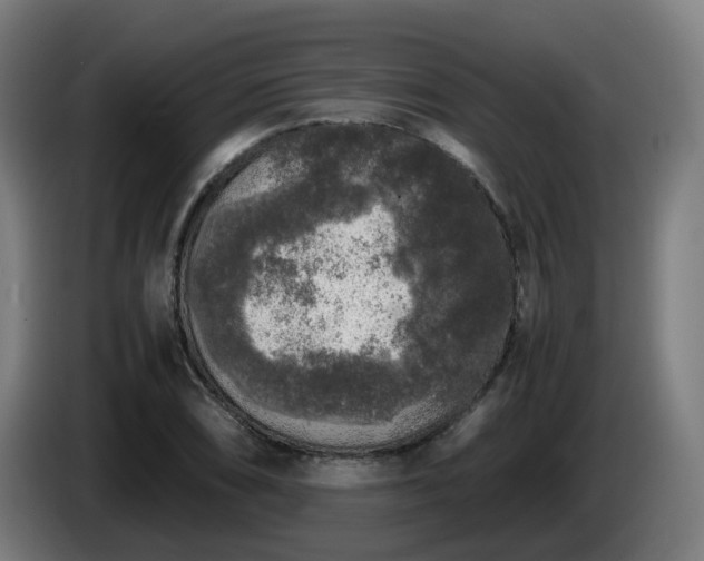 X0000086011074200703301005