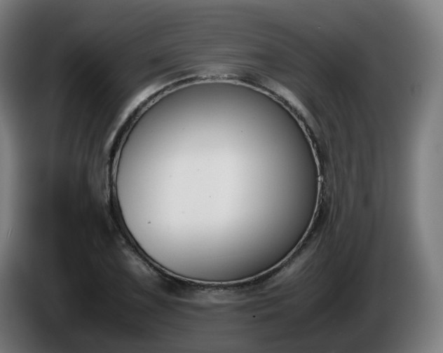 X0000086011075200703301005
